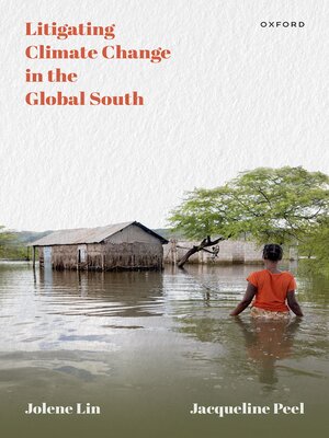 cover image of Litigating Climate Change in the Global South